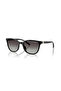 Ax 4168Su 81588g 54 Sunglasses