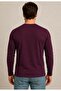 Men's Plum Cotton Lycra Single Jersey Long Sleeve T-Shirt-D240 - 3