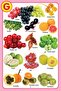 My Jumbo Fruit Pictionary - 4