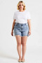 Women's Plus Size Mini Shorts High Waist Elastic Ripped Denim Non Stretch Straight Leg - 4