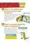 What Animals? - 5