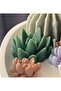 3.2cm Mini Succulent Flower Silicone Mold K-1575, Scented Stone Soap Plaster Candle Mold - 4