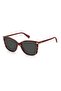PLD 4108/S RED HAVANA for WOMAN Sunglasses 55 mm