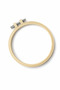 Screw Adjustable Plastic Hoop Embroidery Hoop - Cross Stitch and Etamin Frame Set of 2 28 cm - 3