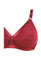 Regular Shiny Textured Dobby Bra for Women Mehroon-32 - 2