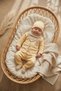 Amber Teddy Gingham 5-Piece Organic Cotton Baby Hospital Discharge Set - Beige Plaid Detailed Cotton Knitted Set - 4