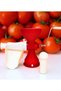 Home type tomato paste making apparatus for office home office kitchen - 4