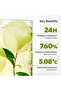Matcha Tea Pads - 6