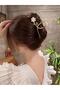 1Pc/Set Women's Alloy Hair Clip with Flower Ponytail and Hair Bun Designs for Outdoor Activities, Leisure, Dating, and Parties Stylish Hair Clip Beach Hair Claws and Hair Clips Holiday Hair Accessories - 2