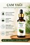 Pine Oil 20 ml Anti-Dandruff Hair Care Skin Oil Balance Supporting Aromatherapy Essential Oil Natural Care for Home Use - 4