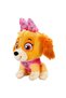 Paw Patrol Lil Bodz Plush Toy |   3 Years Old |   28cm. |   Loving Playmate - 5