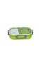 Plastic Lunch Box Green/Clear/Grey