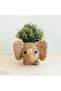 Elephant Planter - 3