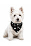 Adjustable Scarf, Chest Harness and Travel Strap Set of 3 - 3