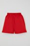 Girl's Shorts Pajama Set with Strawberry Pattern, Ages 4-8, Cream - 5