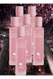 6 Pieces Miss Sakura Perfume 100ML
