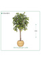 شجرة فيكس صناعية حوض بلاستيك { ارتفاع 185 سم } - 3