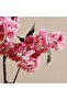 Oriental Cherry With 2 Branches Bunch H103cm - Pink - 2