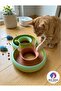 Mixed Color Endless Loop Cat Toy - 2