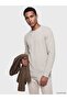 Lcw Vision Beige Regular Fit Crew Neck Men's Knitwear Sweater