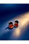 Dangle Steel Gold Earrings - 3