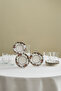Rosetta 12 Piece Tea Cup Set for 6 People