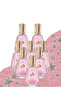 8 قطع عطر إيلارا 50 مل