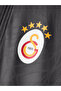 Galatasaray Puma 1/4 Zip Long Sleeve Training Top 78680805 - 4