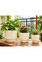 3-Piece Ceramic Flower Pot Set with Textured Design Decorative Indoor & Outdoor Planters for Succulents, Cactus, Herbs & Small Plants White - 3