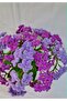 aranjament floral - 4