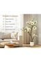 4FT Artificial Magnolia Tree with LED String Lights, Pre-lit Fake Flower Tree with Woven Pot for Home Decor, Living Room, Bedroom, Office, Entryway - 6