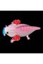 Axolotl Eugy. Puzzle 3D. - 5