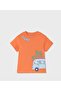 Baby Boy 3 Piece Summer Set Surf Van Printed T-Shirt and Shorts 0-2 Years Orange