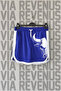Bull Printed Unisex Retro Varsity Sports Training Shorts