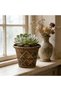 Flower pot planter, plastic flower pot, lightweight bonsai and gardening decorative flower pot, indoor and outdoor planters, for patios, offices - 3