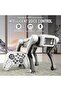 Smart RC Robot Dog Toy with Remote Control, App Control, Walking Robot Pet, Light & Sound Effects, Interactive Electronic Puppy, Rechargeable Educational STEM Gift for Kids Boys Girls Ages 3+ - 6