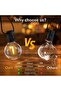 30m G40 outdoor string lights 50LED. - 2