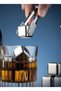 Stainless Steel Ice Cube Set of 4 - 2