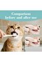 Cheese Flavored Cat Oral Care Set - 4