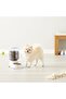 Small Gravity Pet Feeder and Waterer - 6