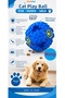 Shed Pal Sound Food Play Ball Blue