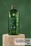 Prebiotic Strengthening Shampoo 300 ml Anti-Hair Loss Care