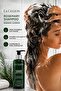 2-Pack Rosemary Hair Care Shampoo 250 ml X 2 |   Keratin, Biotin, and Collagen - 3