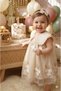 Baby Girl Chiffon Embroidered Birthday Dress and Bandana Set, 9-24 Months, Lined, 2 Pieces - 3