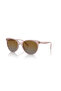 Vo 5453S 2942t5 53 Polarized Sunglasses