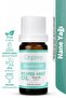 Refreshing Peppermint Oil 100% Natural Refreshing Aromatherapy Oil Peppermint Essential Oil 10 ml