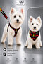 Adjustable Scarf, Chest Harness and Travel Strap Set of 3 - 2