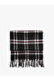 Plaid Scarf Tassel Detailed Soft Textured - 2