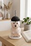 Teddy Bear Design Glass Flask with Straw and Protective Cap 600 ml (Green, Yellow, Blue, Black, Red Color Options) - 6