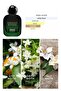 Emerald Reverie 100 ml - 4